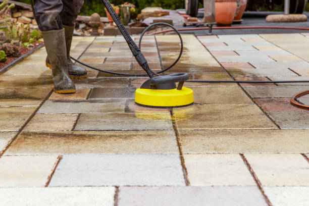 Best Winterizing Services  in Lincoln Park, MI